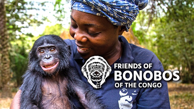 Friends of Bonobos of the Congo 