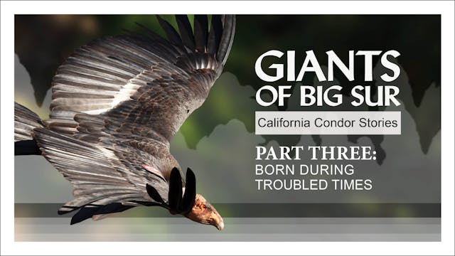 Giants of Big Sur - Episode 3 of 3