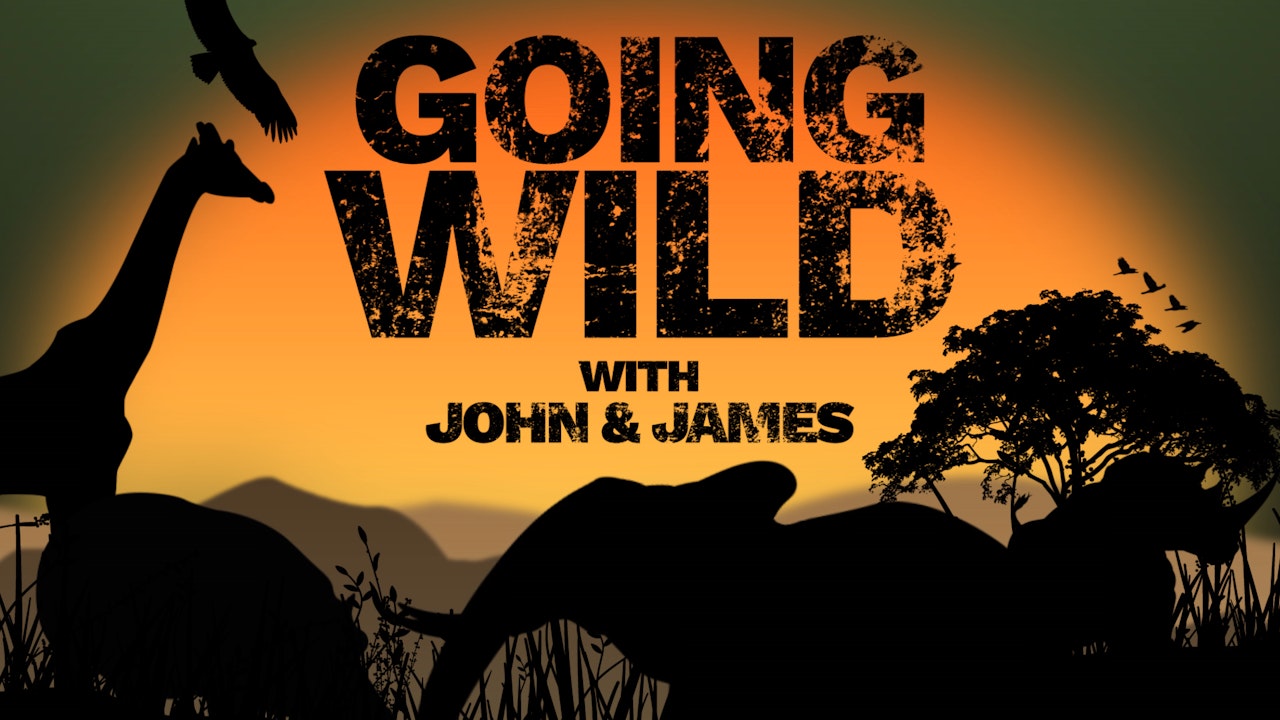Going Wild with John & James