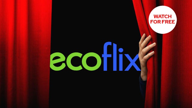 Ecoflix Launch