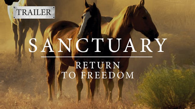 Sanctuary - Return to Freedom - Trailer