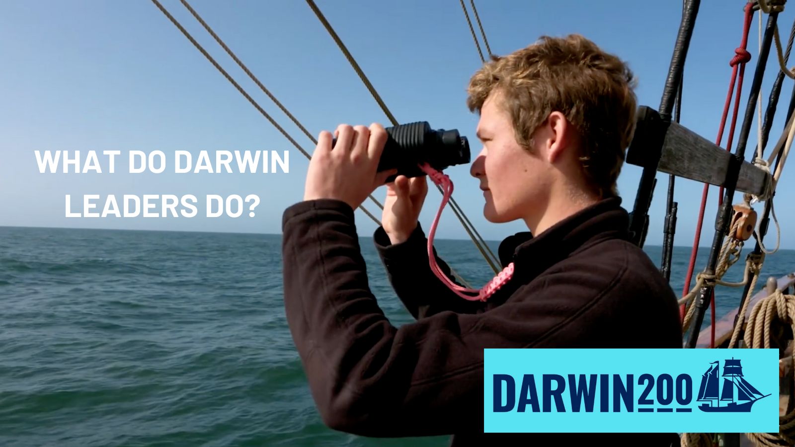 What do the Darwin Leaders do?