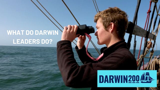 What do the Darwin Leaders do?