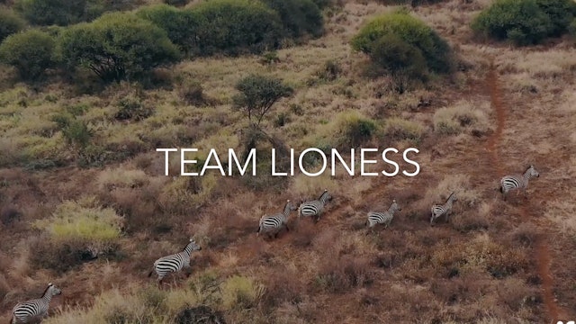 Team Lioness