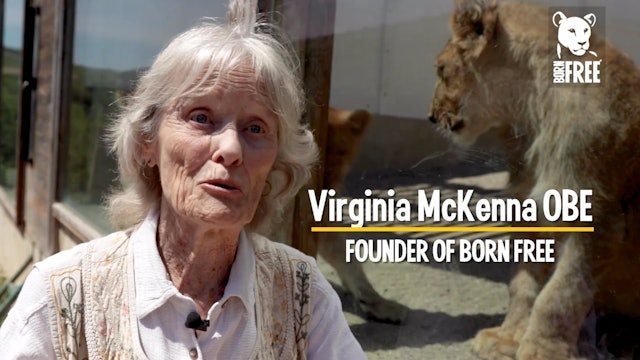 Virginia McKenna OBE visits Lions of Lyon