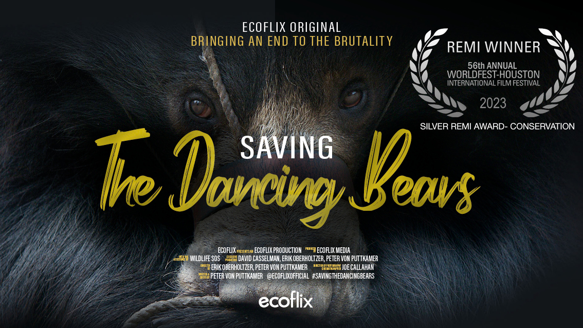Saving the Dancing Bears