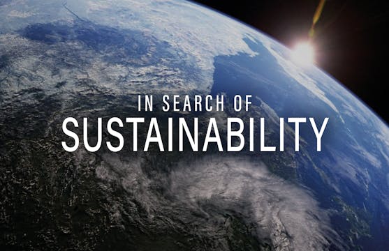 In Search of Sustainability in Mali -...