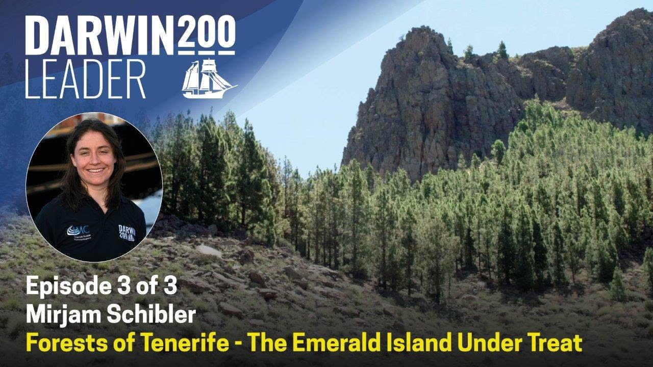 Darwin 200 Forests of Tenerife - The Emerald Island Under Threat Episode 3