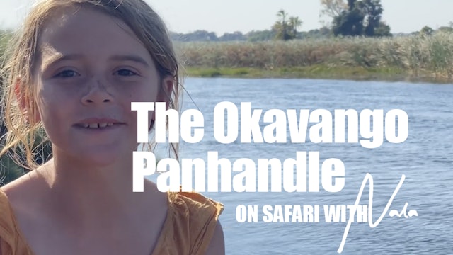 On Safari with Nala - The Okavango Panhandle