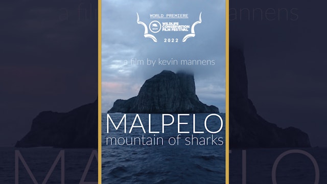Malpelo: Mountain of Sharks (Trailer)