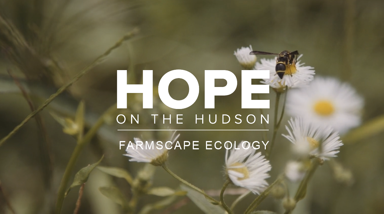 Hope On The Hudson: Farmscape Ecology 