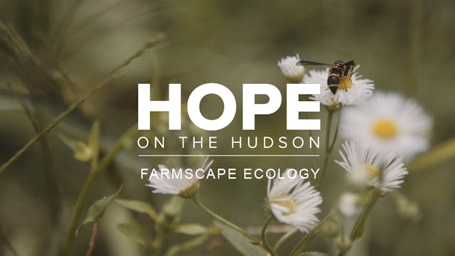 Hope On The Hudson: Farmscape Ecology 