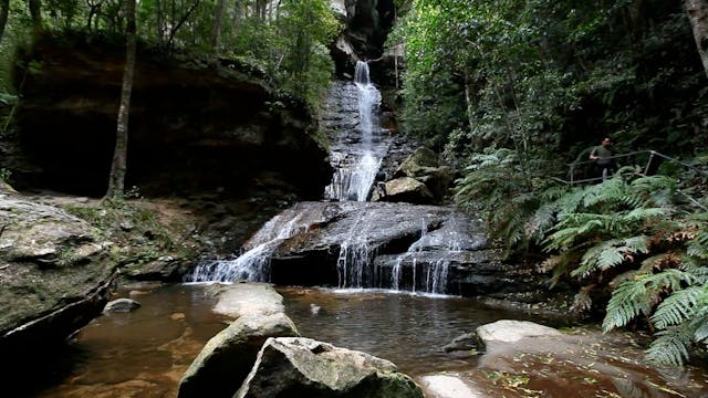 Blue Mountains - Wyn Jones