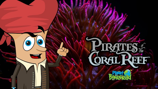 Planet Bonehead - Episode 8: Pirates of the Coral Reef
