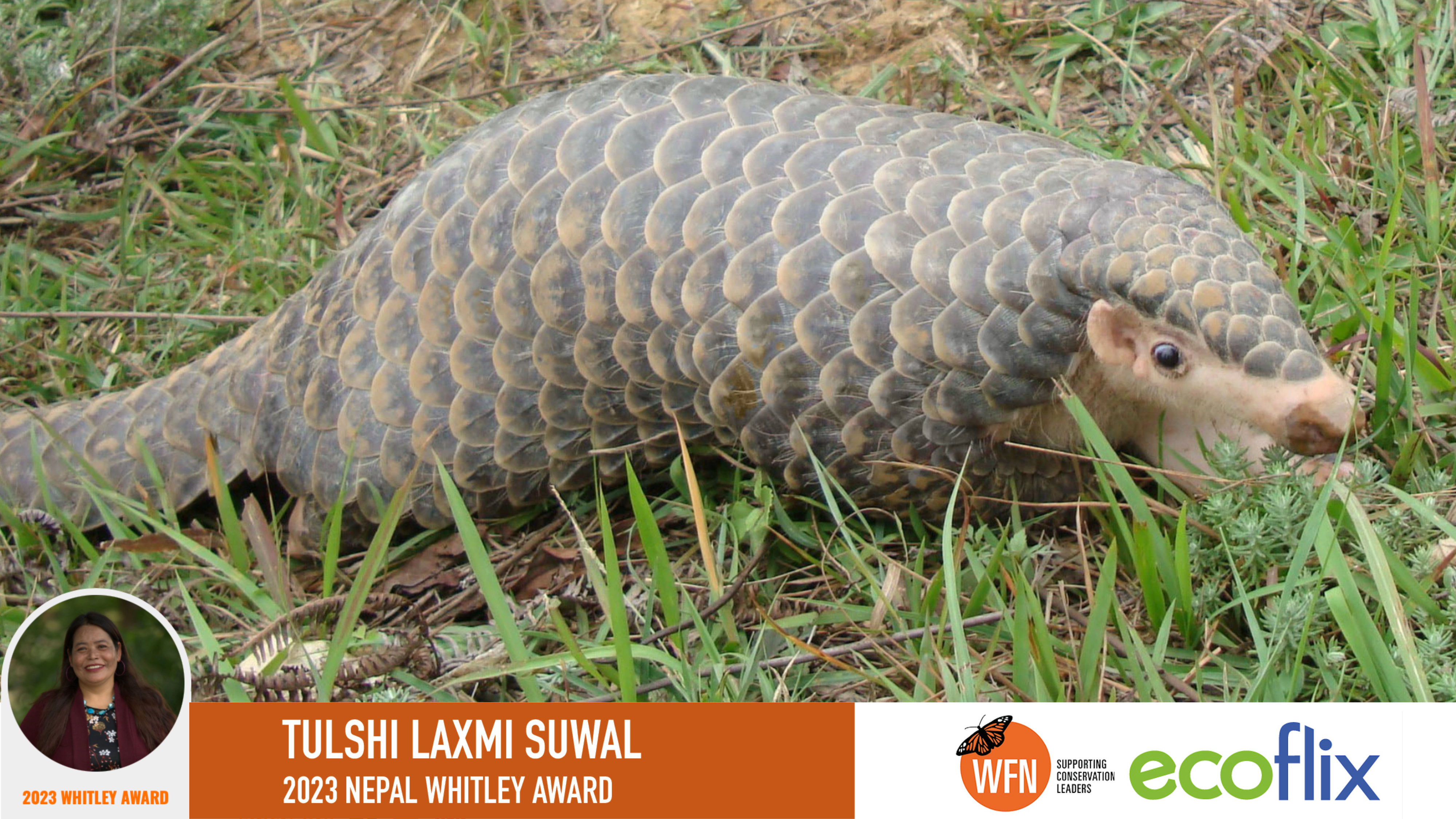 Tulshi Laxmi Suwal 2023 Nepal Whitley Award Winner