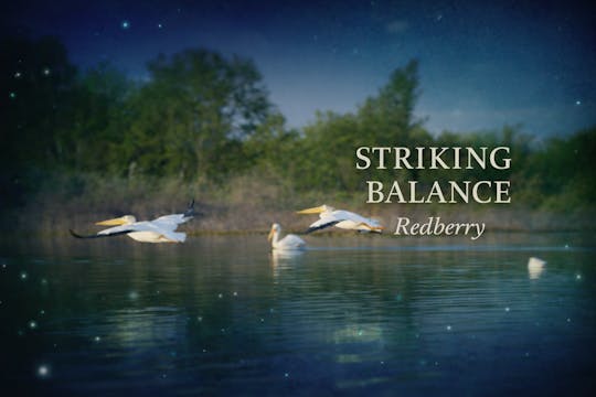 Striking Balance - Redberry