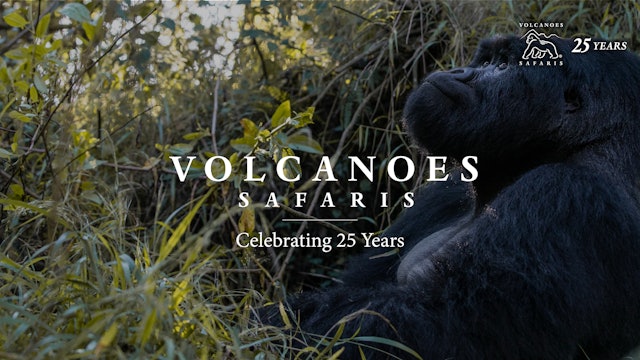 Celebrating 25 Years of Volcanoes Safaris 