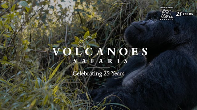 Celebrating 25 Years of Volcanoes Saf...