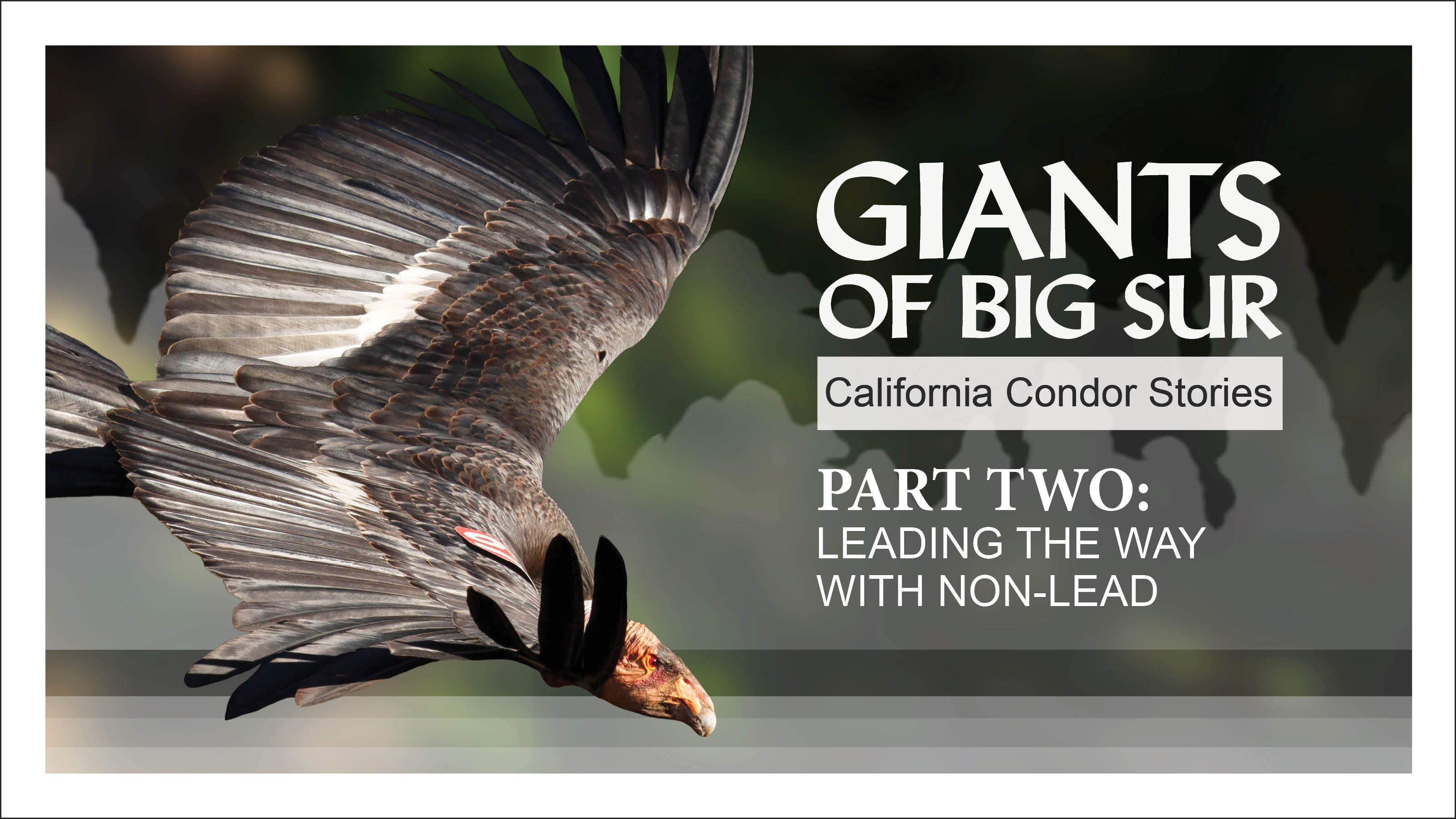 Giants of Big Sur - Episode  2 of 3