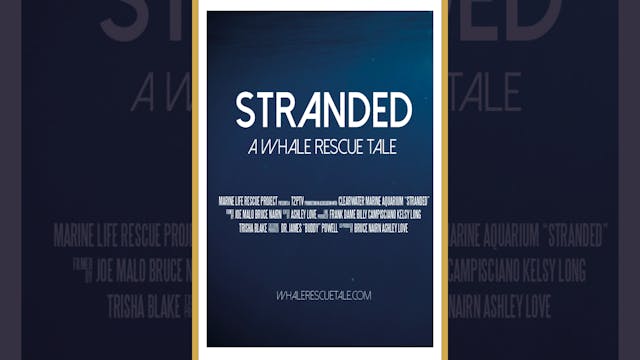 Stranded: A Whale Rescue Tale