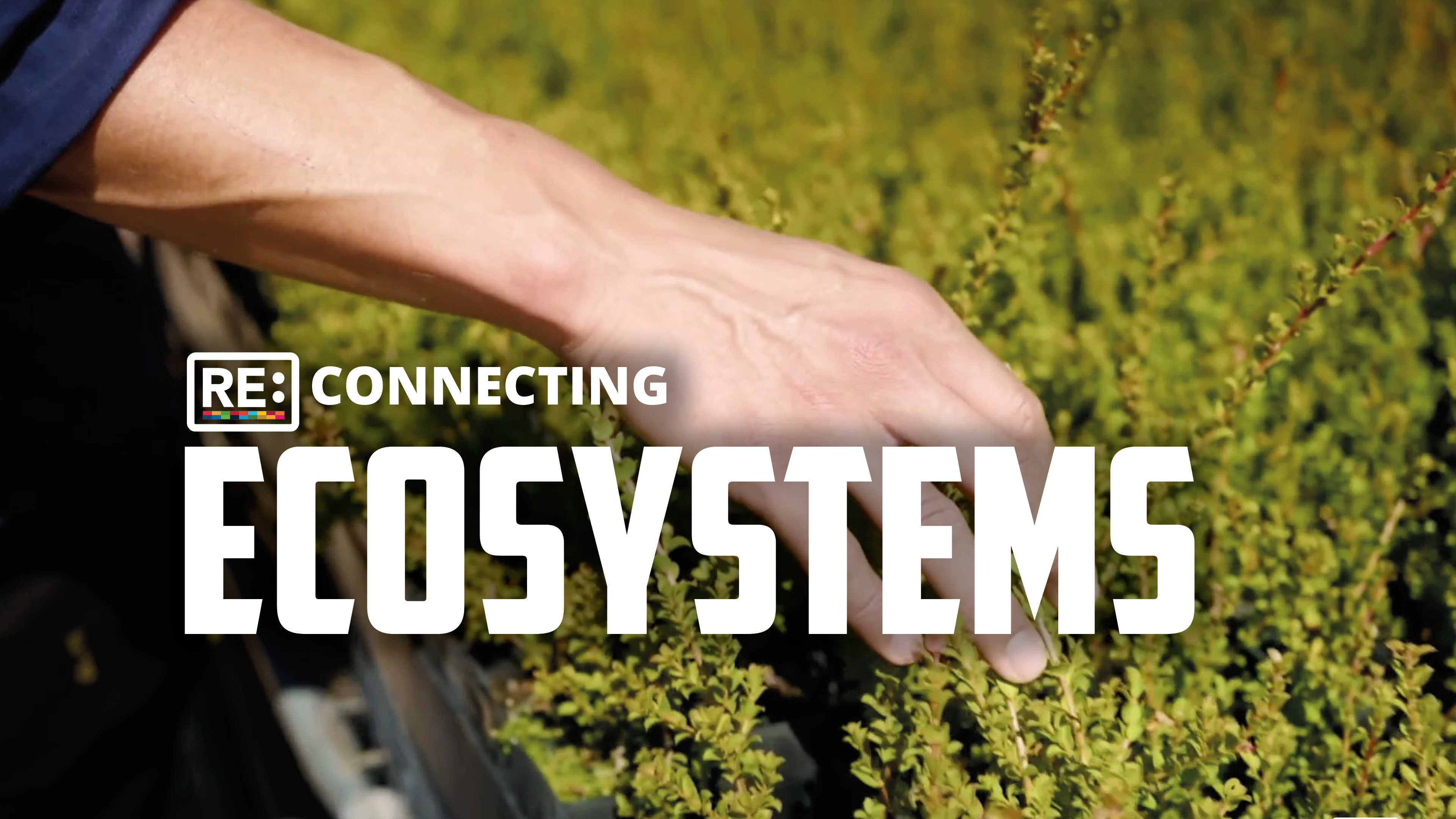 Reconnecting Ecosystems