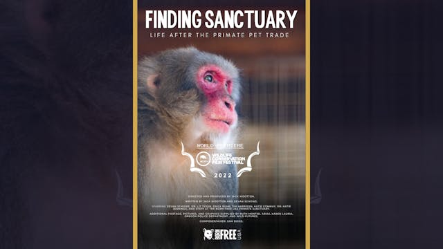Finding Sanctuary (Trailer)