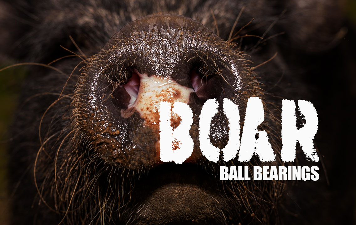 Disabled boar gets new wheels