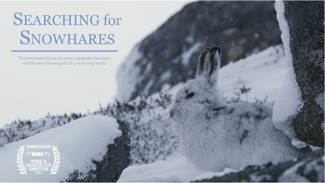 Searching For Snow Hares