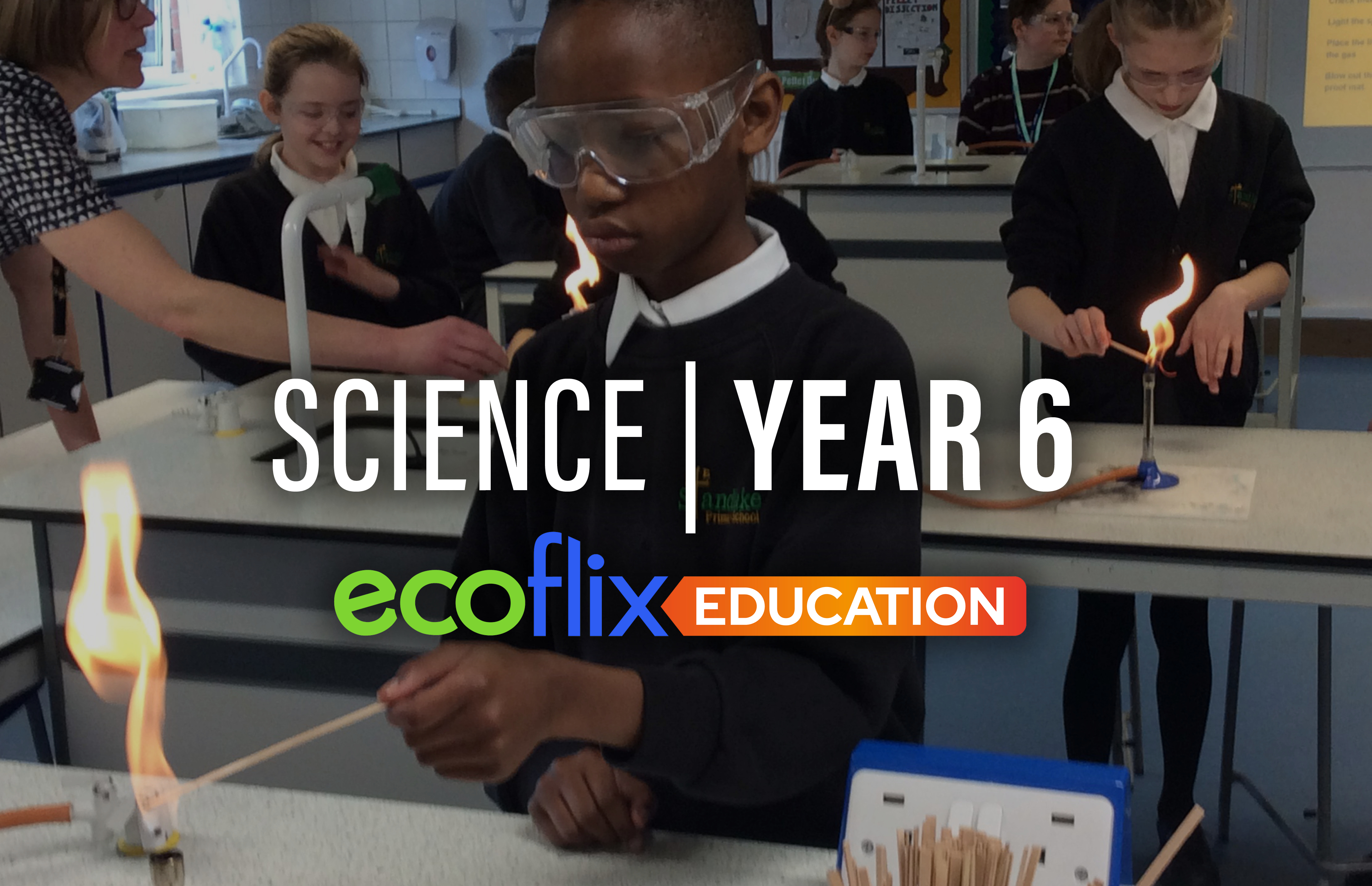 Science: Year 6