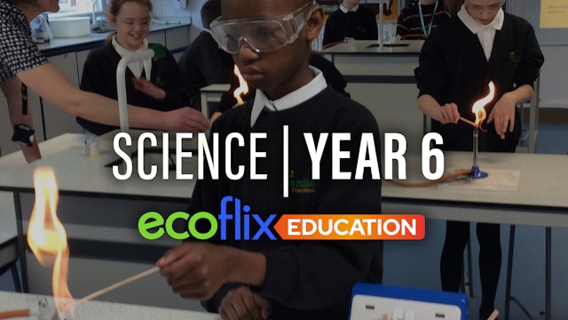 Science: Year 6
