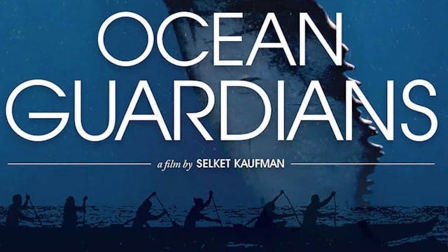 Ocean Guardians 
