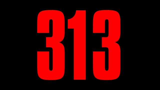 313 WCFF 2025