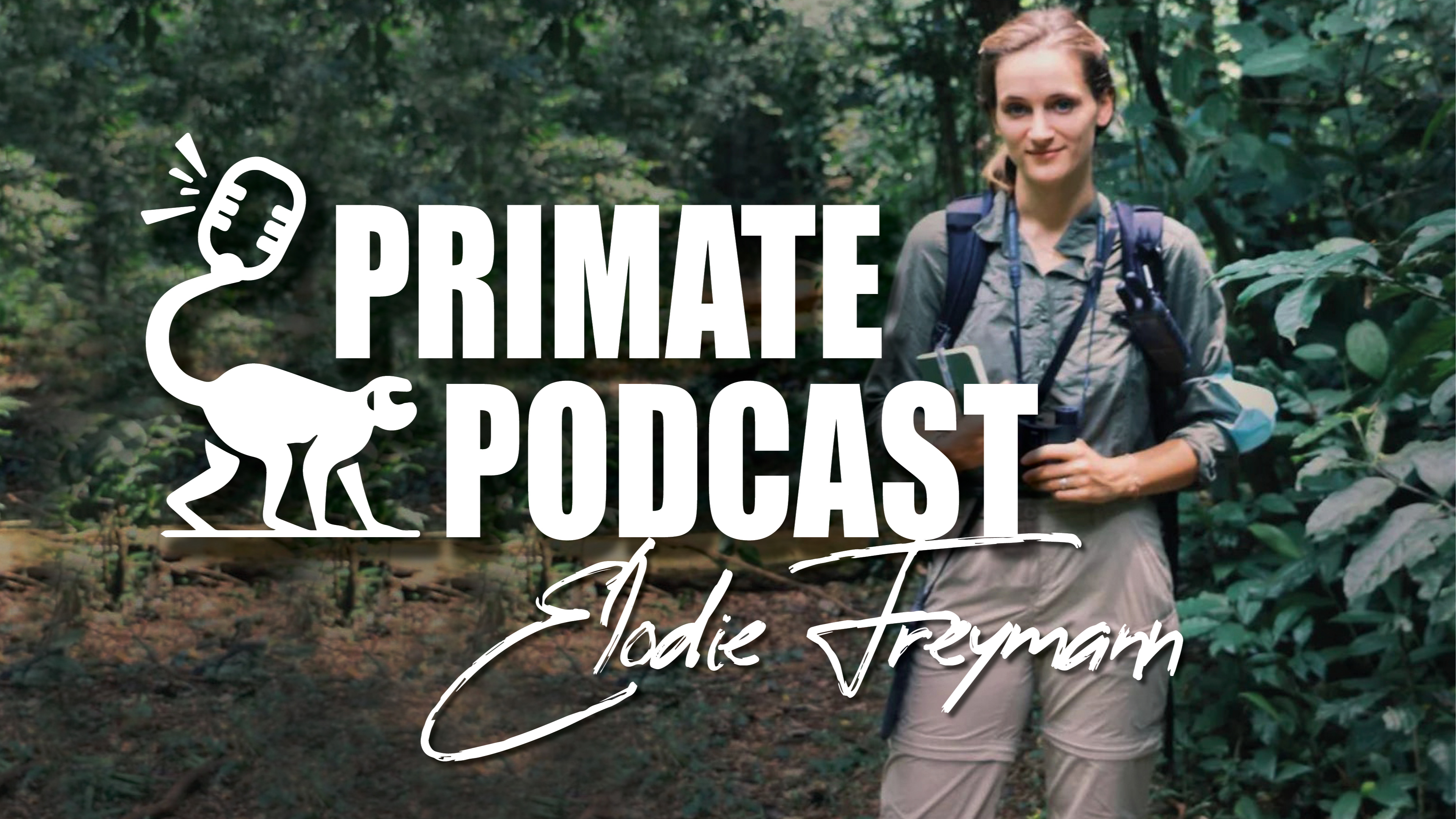 Primate Podcast With Dr Elodie Freymann