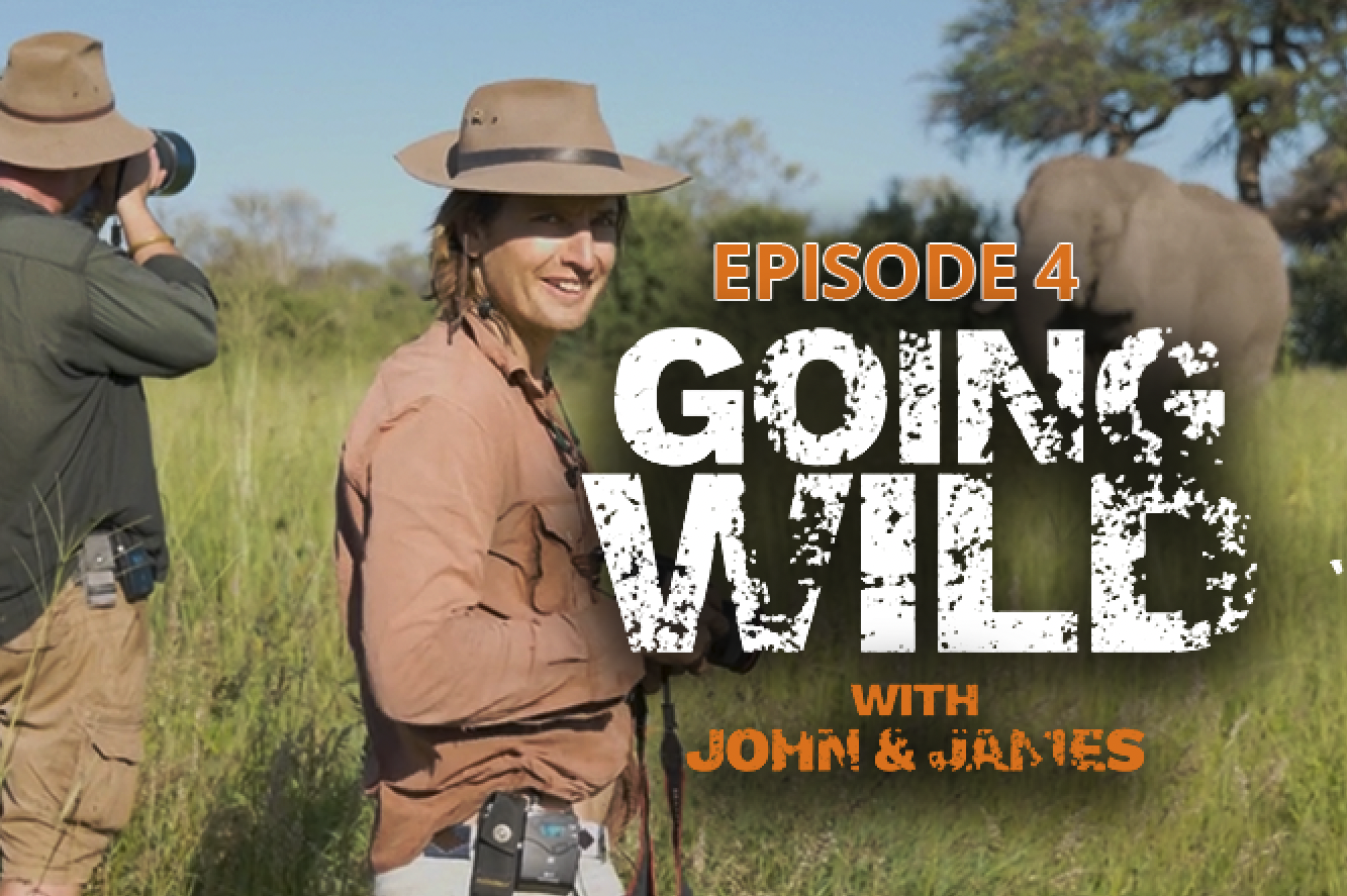 Going Wild with John & James Episode 4
