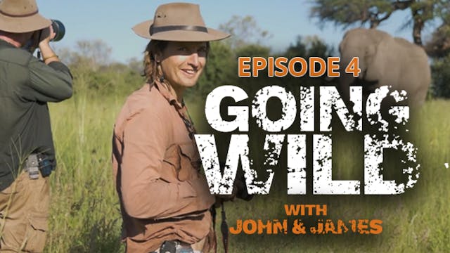 Going Wild with John & James Episode 4