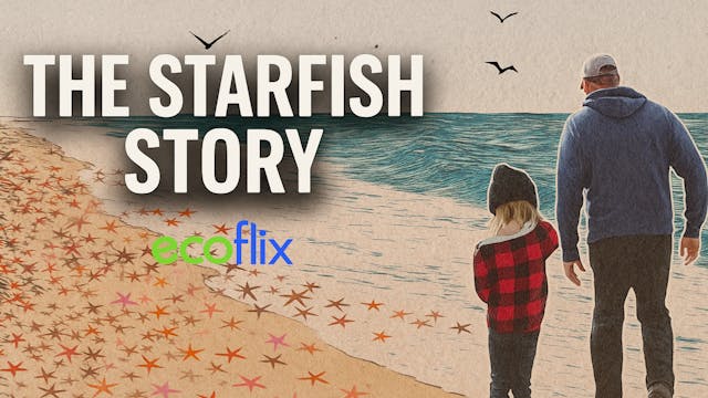 The Starfish Story