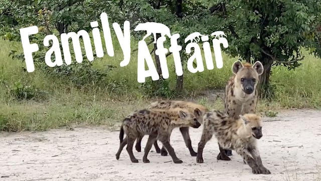 Family of hyenas