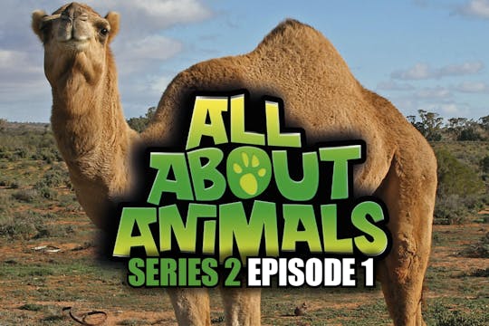 All About Animals - Series 2 - Episode 1