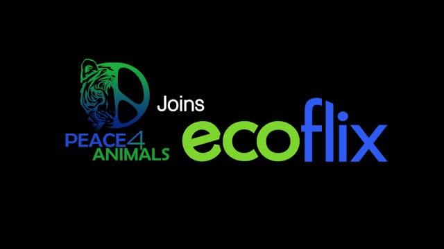 World Animal News joins Ecoflix