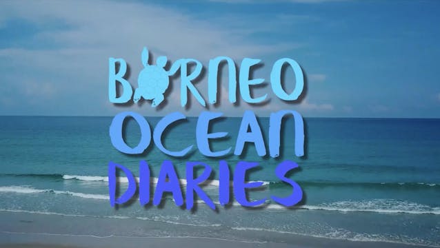 Borneo Ocean Diaries Trailer