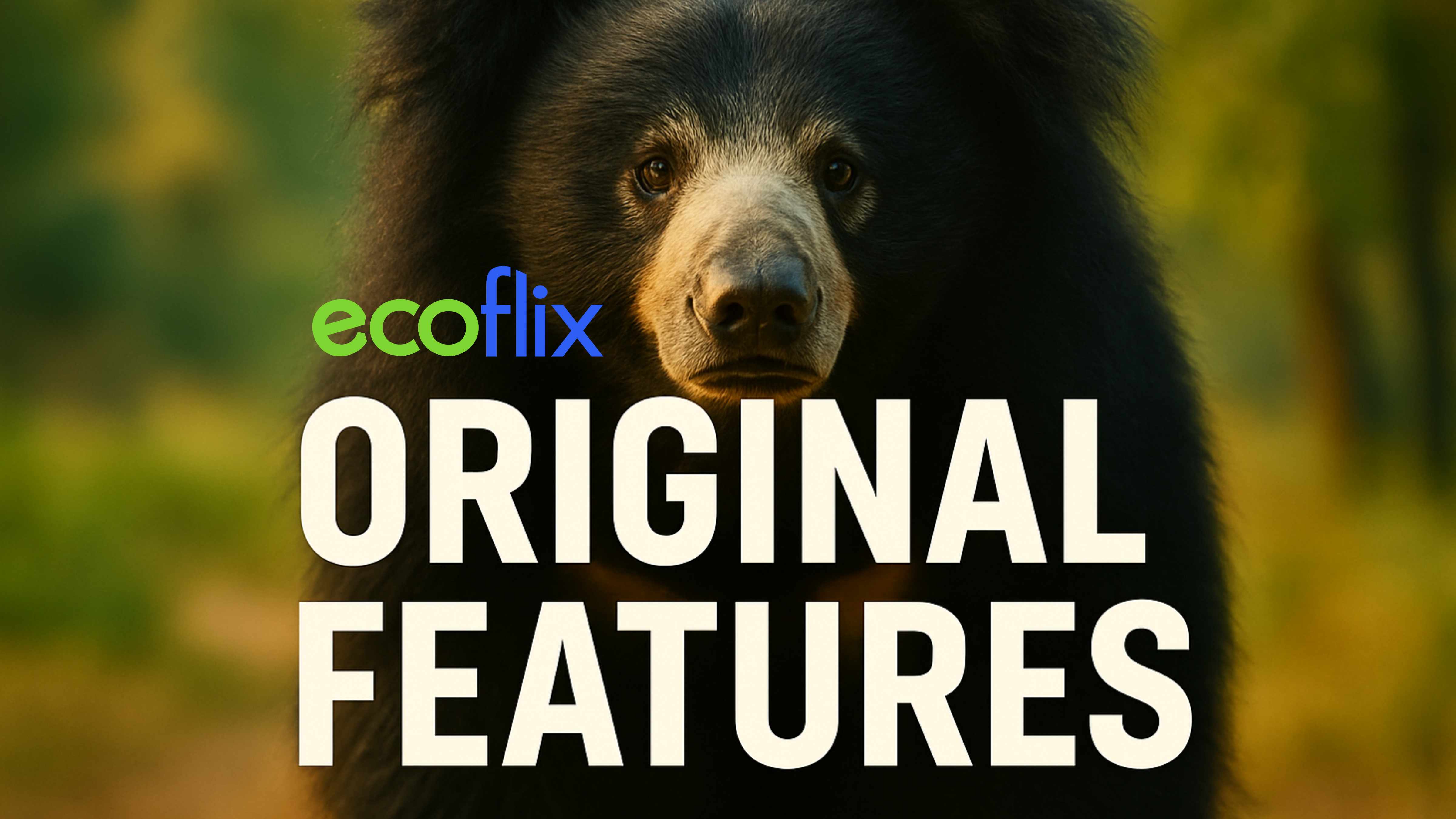 Ecoflix Features