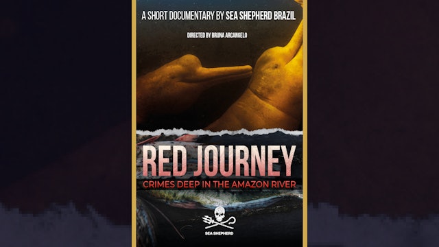 Red Journey (Trailer)