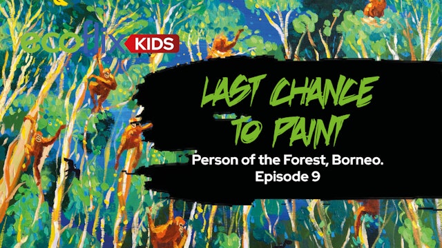 Last Chance to Paint - Person of the Forest, Borneo. Episode 9