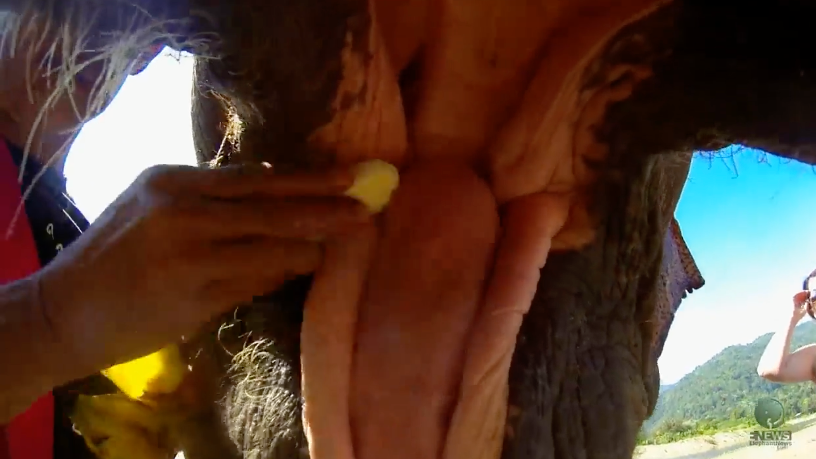 Close up feeding time with a GOPRO