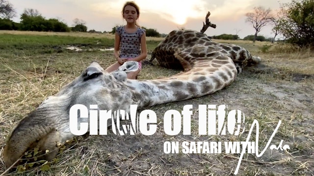 On Safari with Nala - Circle of life