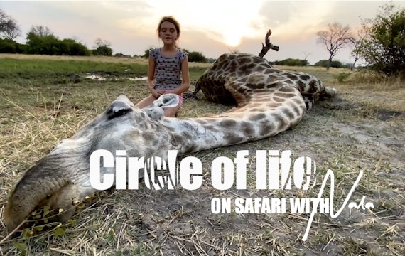 On Safari with Nala - Circle of life