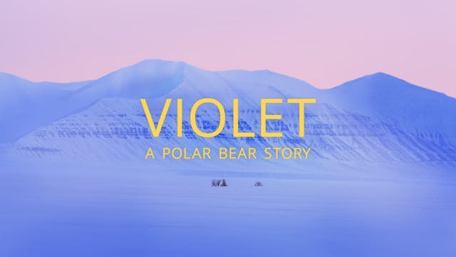 Violet - A Polar Bear Story