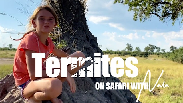 On Safari with Nala - Termites