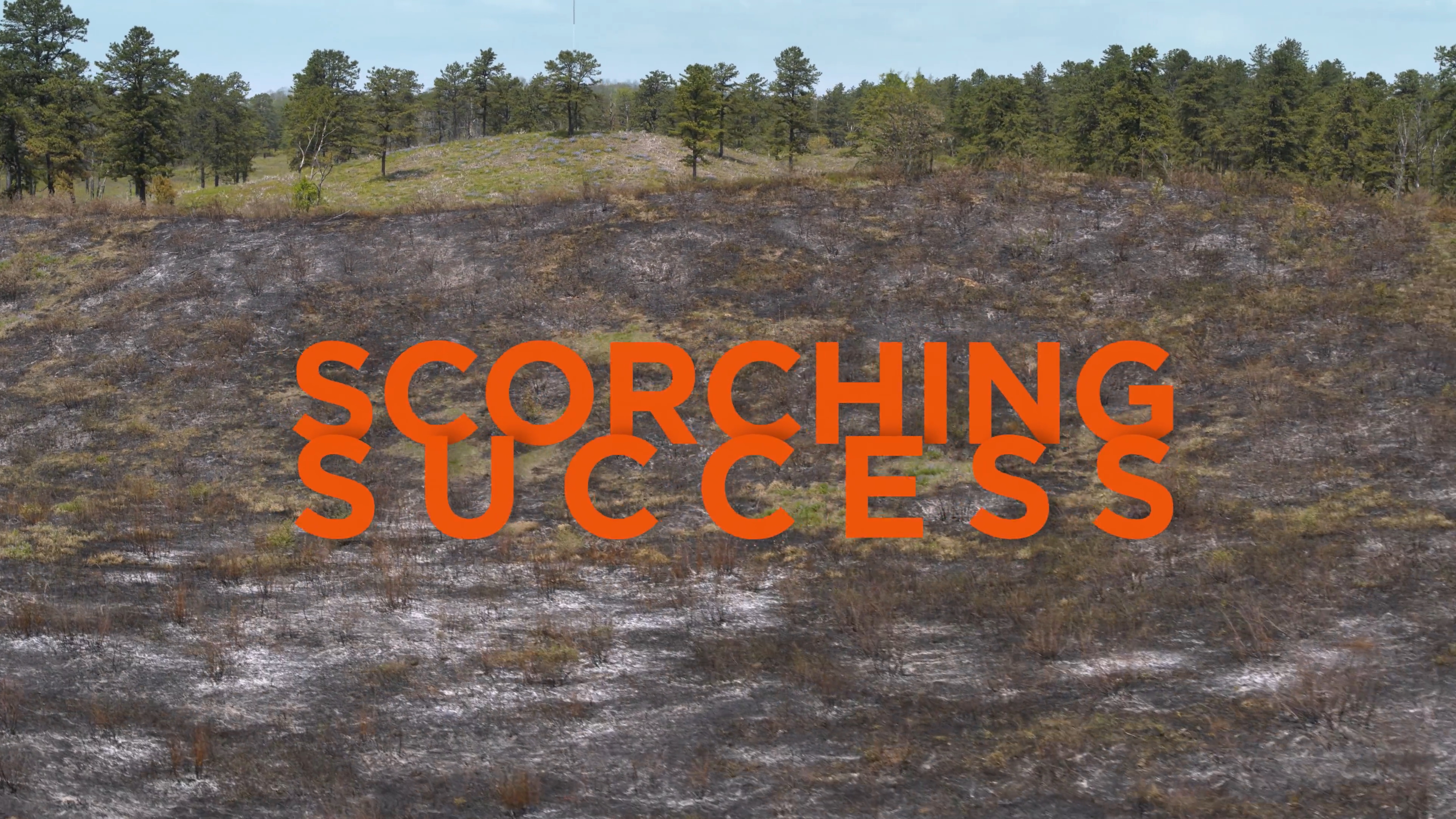Scorching Success WCFF 2025