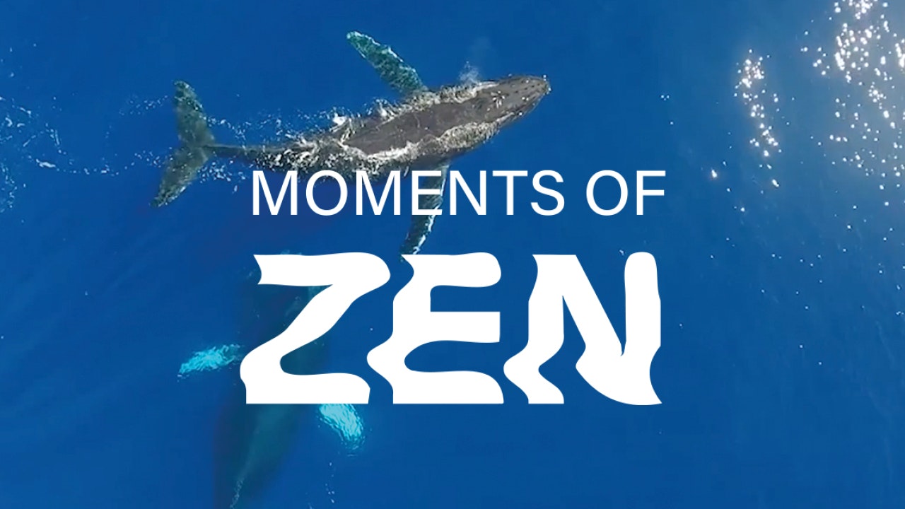 Moments of Zen